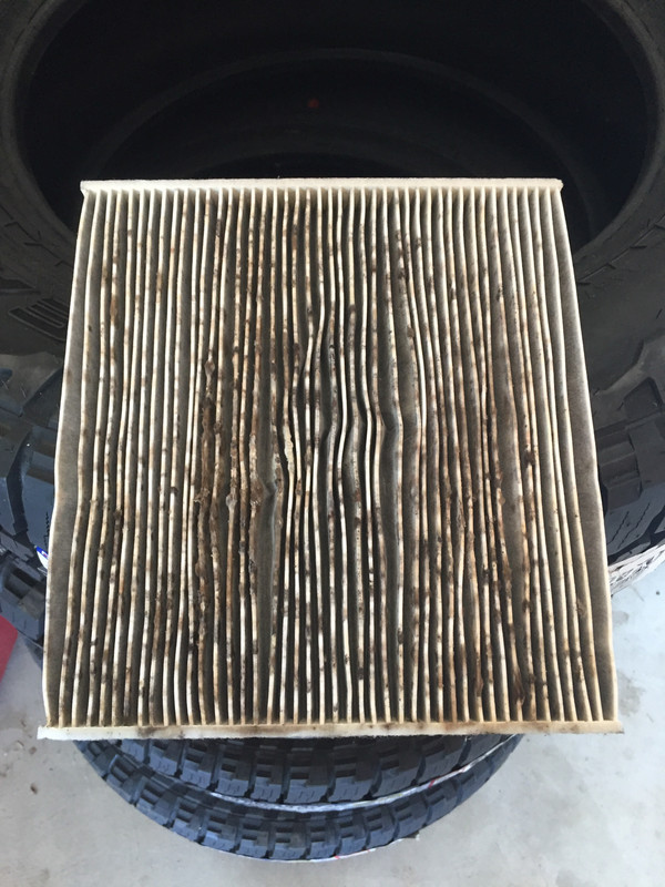 Mold on cabin air filter - picture included | 2014+ Jeep Cherokee Forums